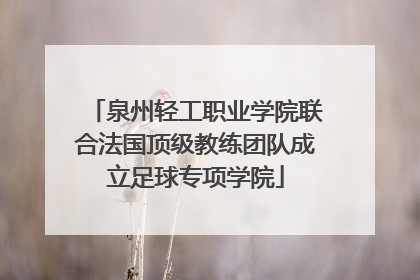 泉州轻工职业学院联合法国顶级教练团队成立足球专项学院